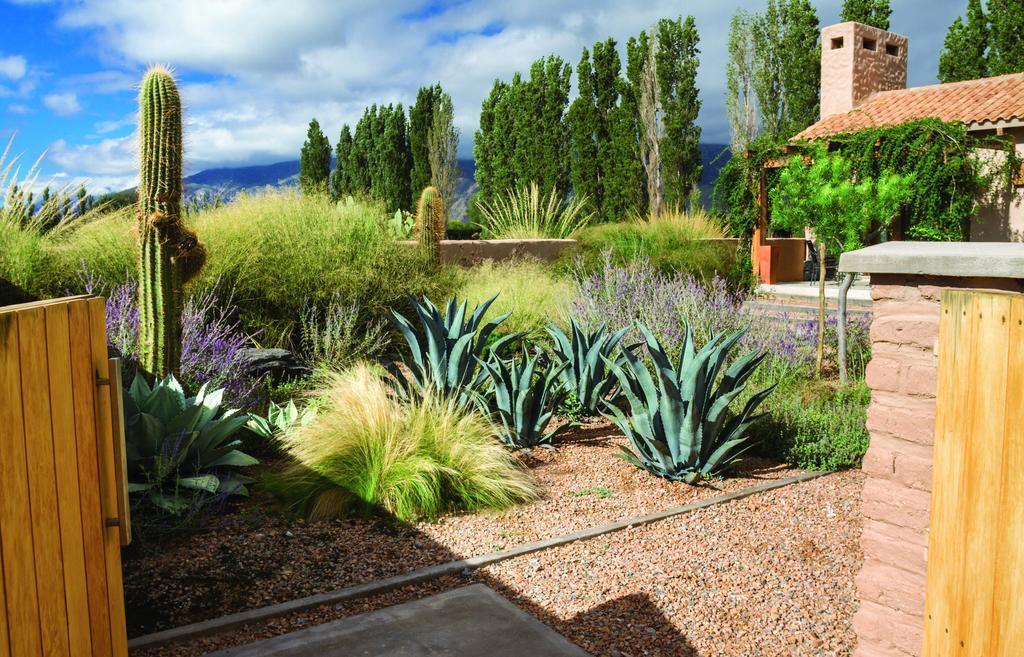 Villa Adobe Charm à Cafayate Extérieur photo